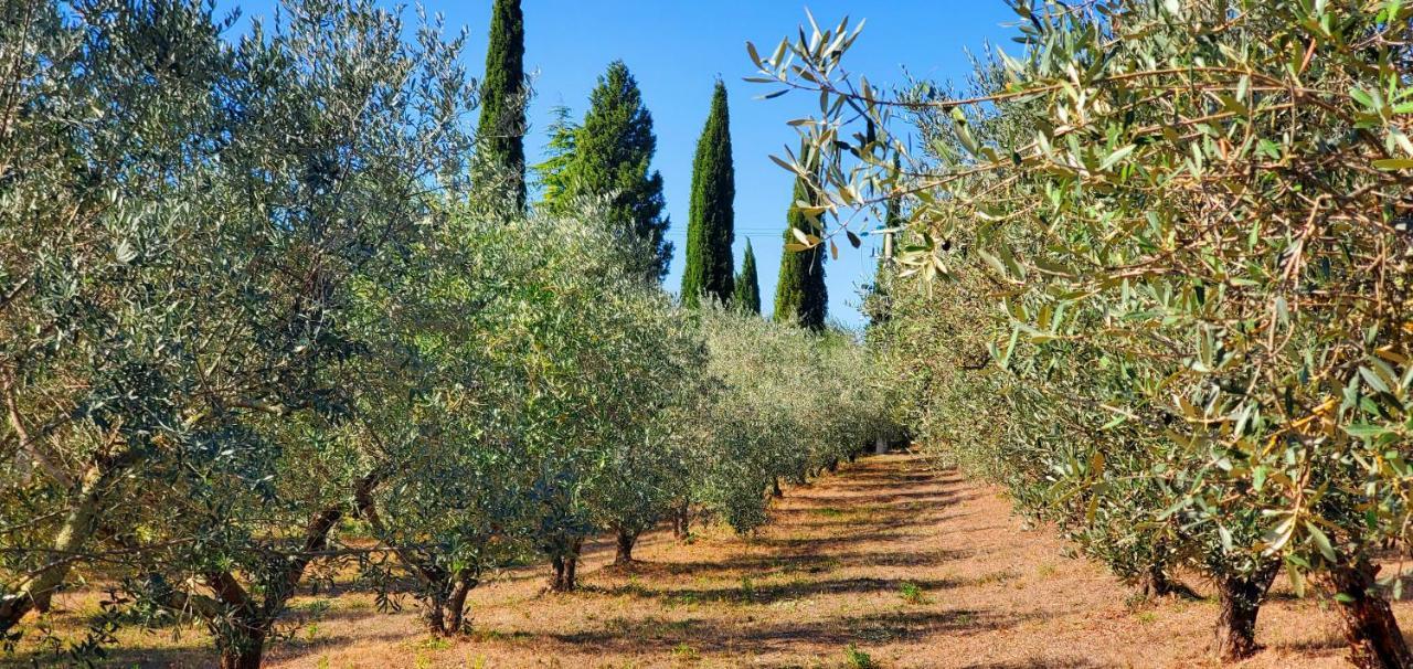 La Volpaia 1521 Villa Barberino Val d'Elsa Luaran gambar